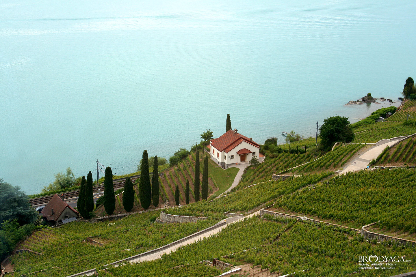 Chardonne
